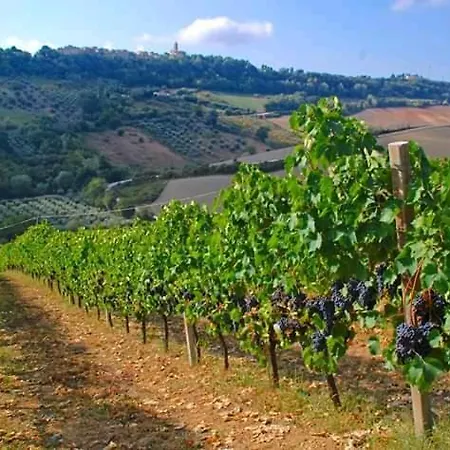 Antiche Mura Di *